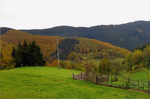 Die Herbstpanorama mit unzähligen Farben zum greifen nahe